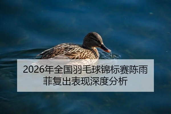 2026年全国羽毛球锦标赛陈雨菲复出表现深度分析